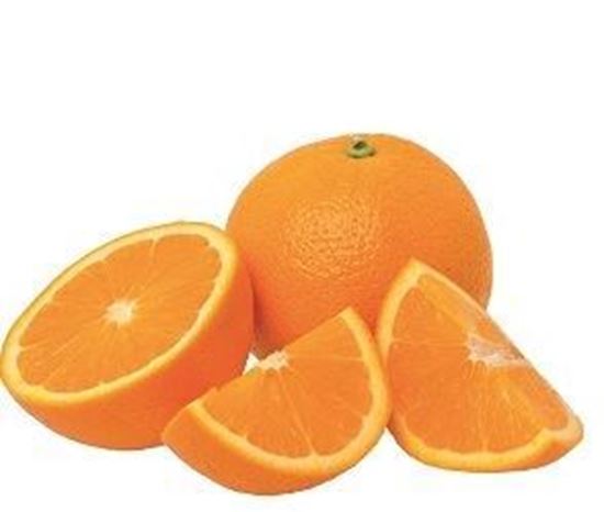 الصورة: برتقال  مقطع