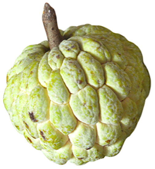 الصورة: قشطة