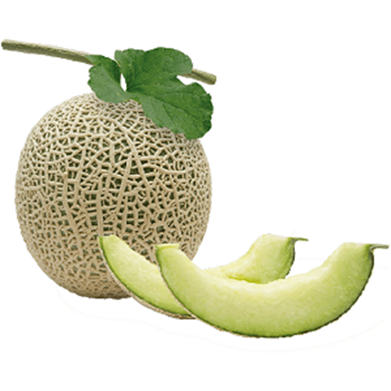 الصورة: كنتالوب مقطع