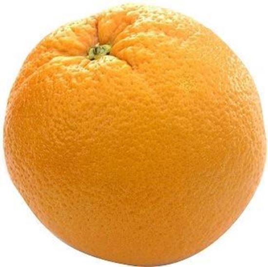 الصورة: برتقال صيفي